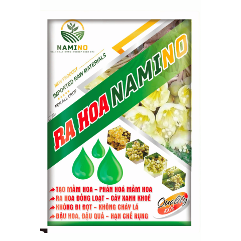 RA HOA NAMINO 
