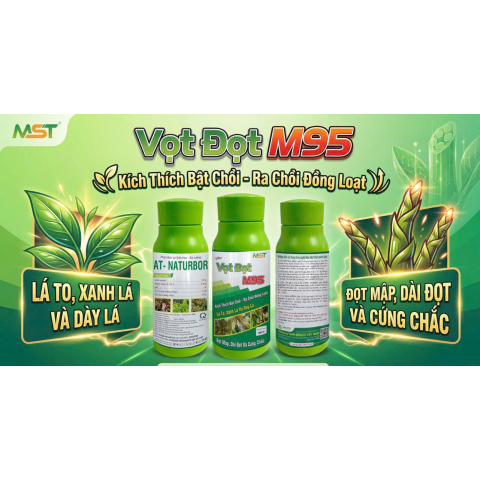 VỌT ĐỌT M95