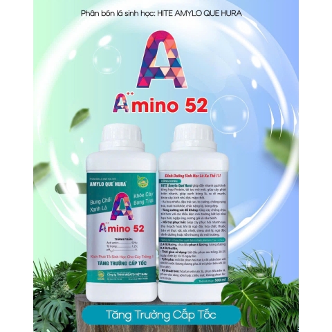 Amino 52