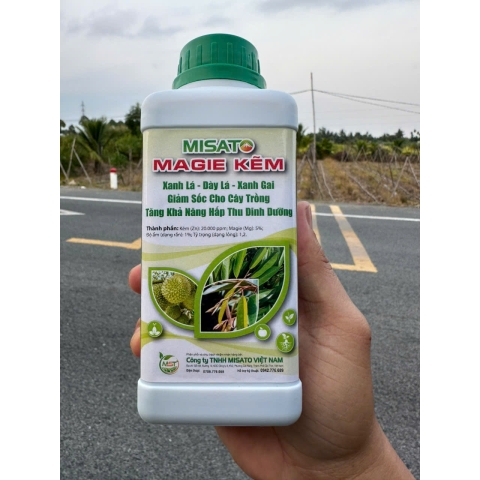 MAGIE KẼM 