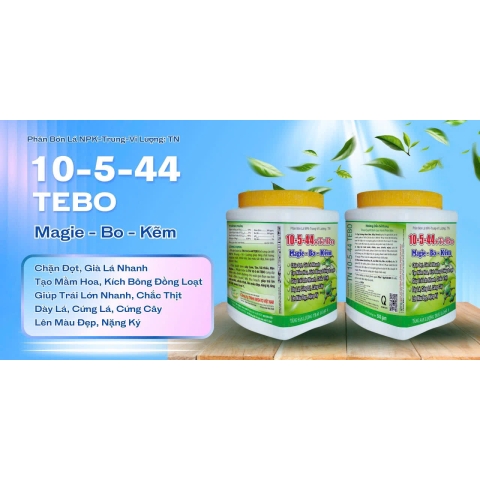  10-5-44 + TEBO 