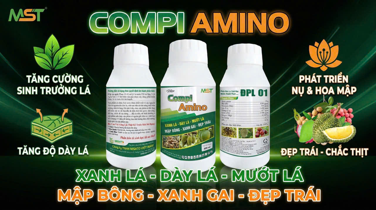 Sầu Riêng Kéo Đọt Cực Mạnh – Lá Xanh Dày Đậm Cùng Bộ Đôi Hoàn Hảo!
