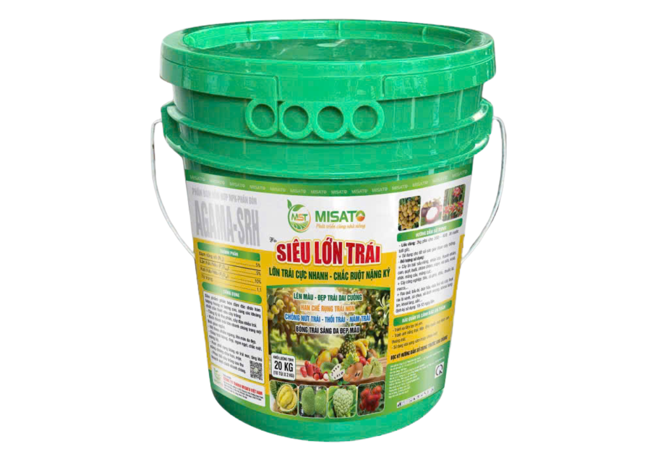 SIÊU LỚN TRÁI